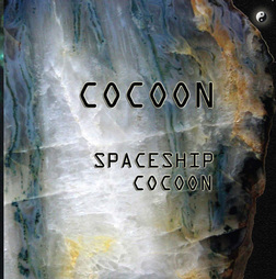 spaceship cocoon